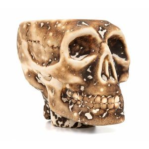 werkbund skull bowl