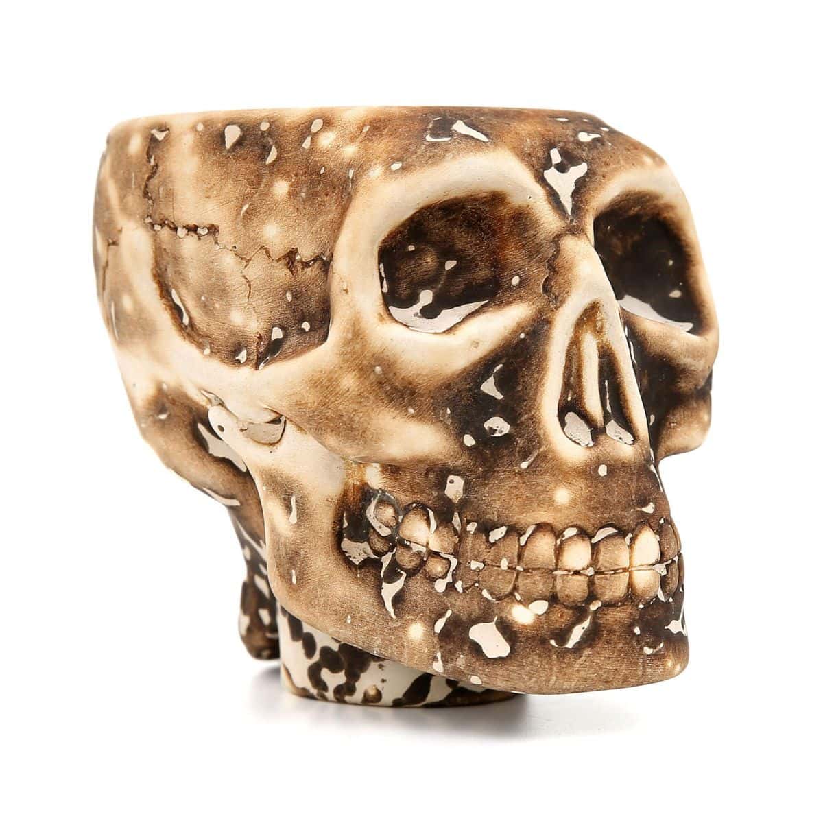 werkbund skull bowl